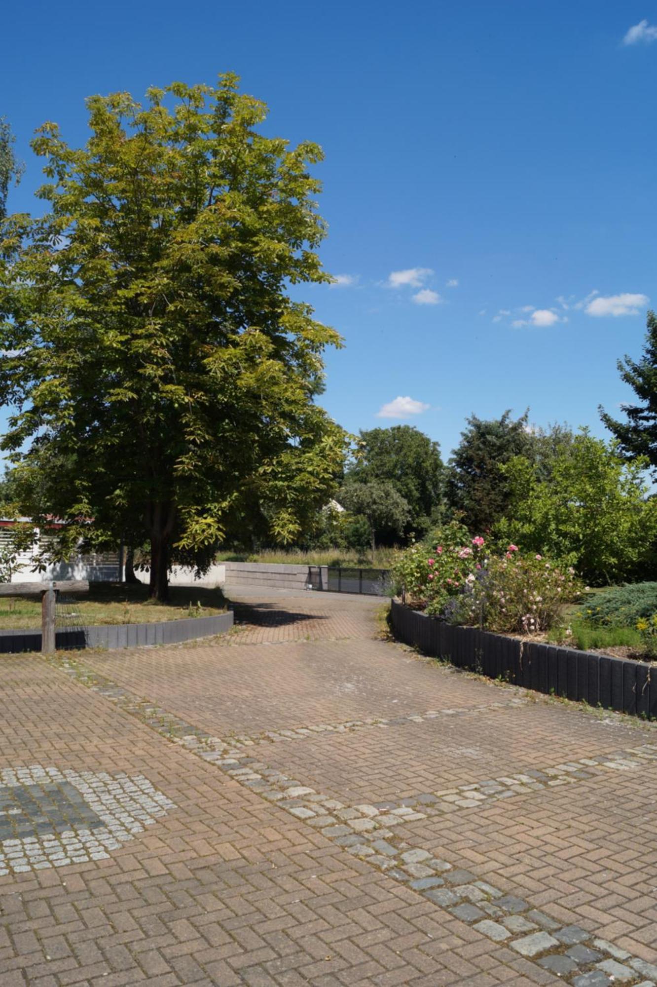 Das Kleine Haus Hornburg  Esterno foto